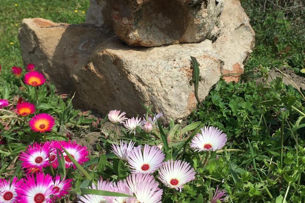 אגליאנטו Country House Vignola Mare מראה חיצוני תמונה