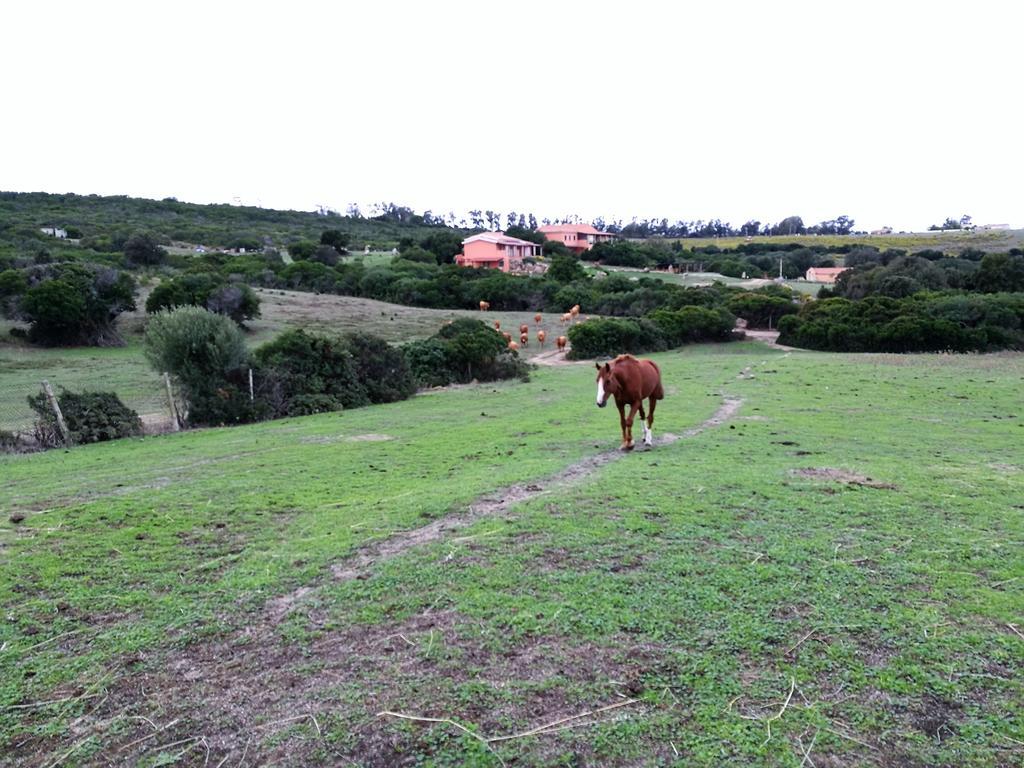 אגליאנטו Country House Vignola Mare מראה חיצוני תמונה